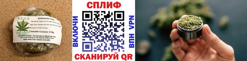 наркотики  Алейск  mega рабочий сайт  Еда ТГК конопля 
