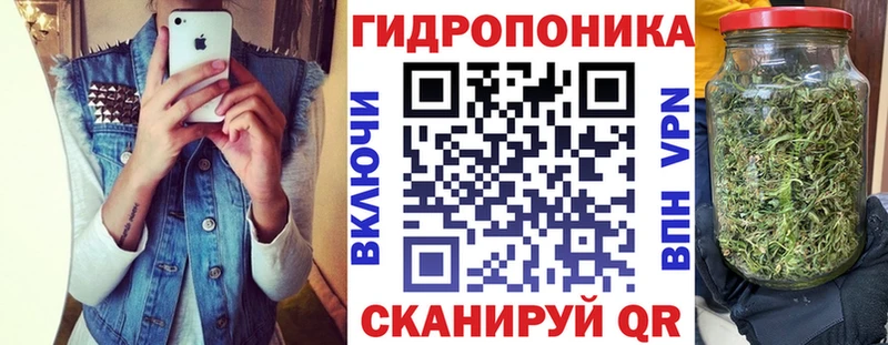 хочу   Алейск  Шишки марихуана сатива 